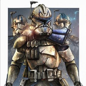 Meet your Posher, Donovan